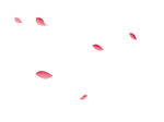 玫瑰花瓣素材