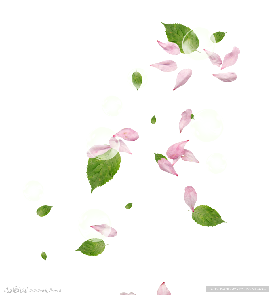 粉色树叶花瓣