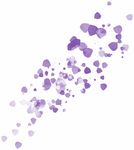 紫色花瓣
