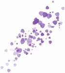 紫色花瓣素材