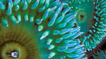 海洋世界风光