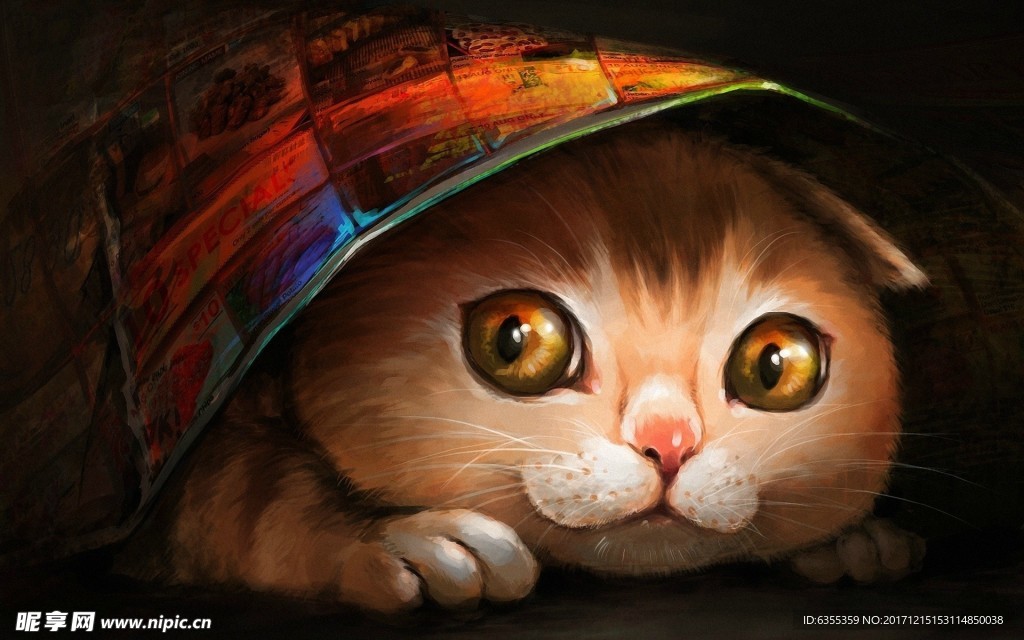 动物素材可爱猫