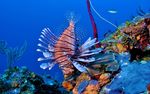 海洋世界风光