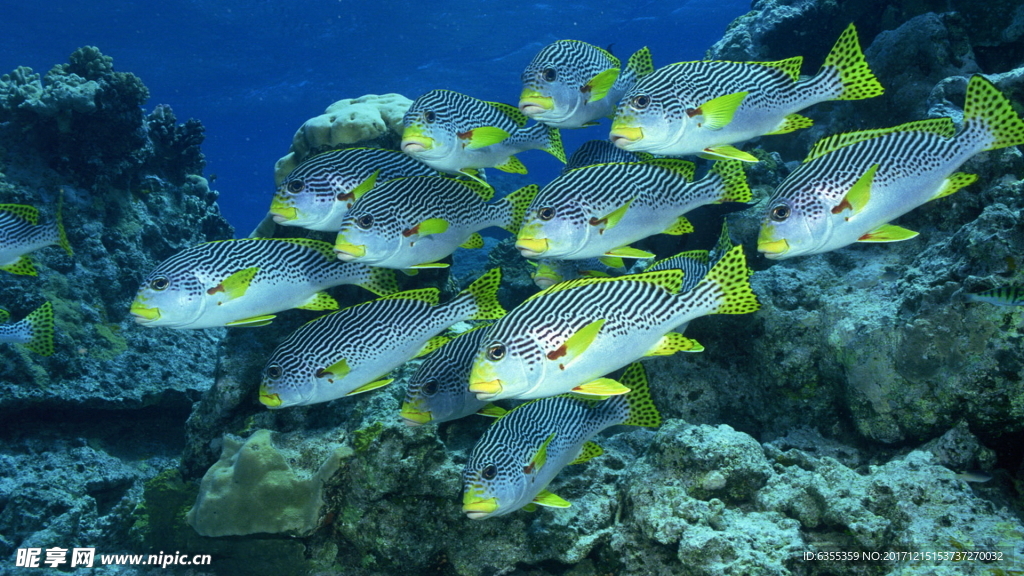 海洋世界风光