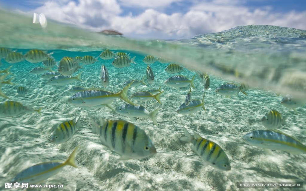 海洋世界风光