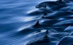 海洋世界风光