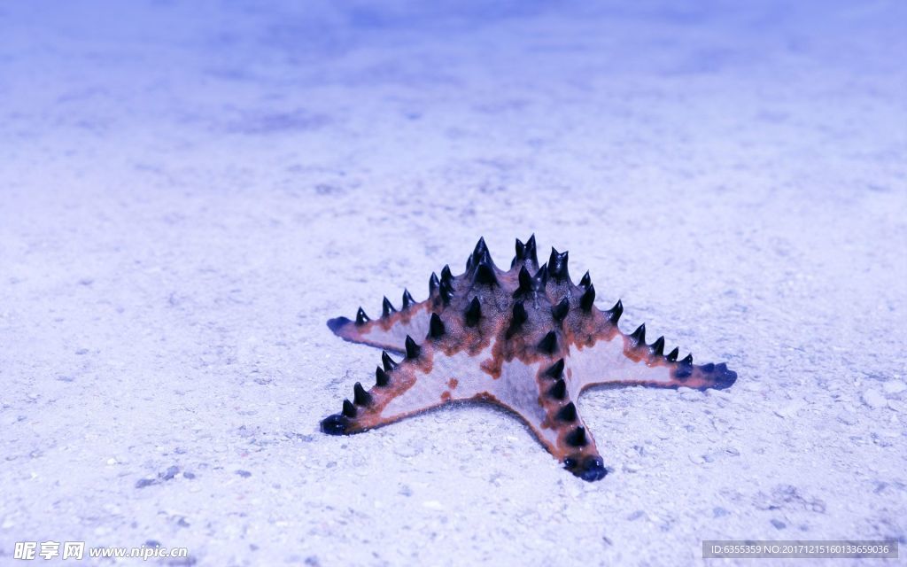海洋世界风光