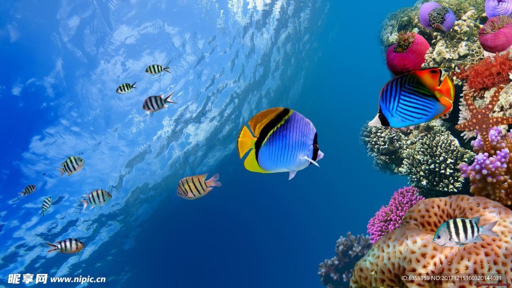 海洋世界风光