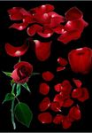 PS花瓣素材