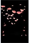 PS花瓣素材    桃花花瓣