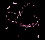 PS花瓣素材    桃花花瓣