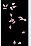 PS花瓣素材    桃花花瓣