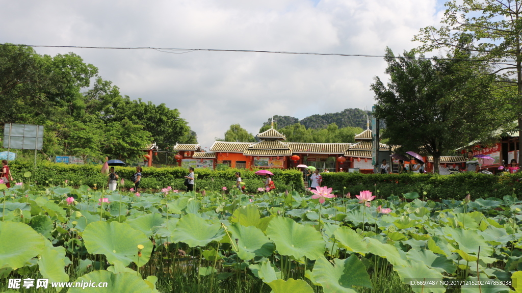 陆川龙珠湖