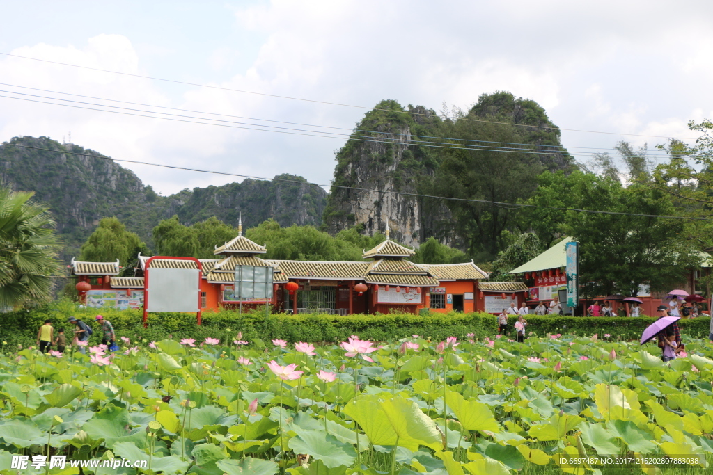 陆川县龙珠湖荷花塘景