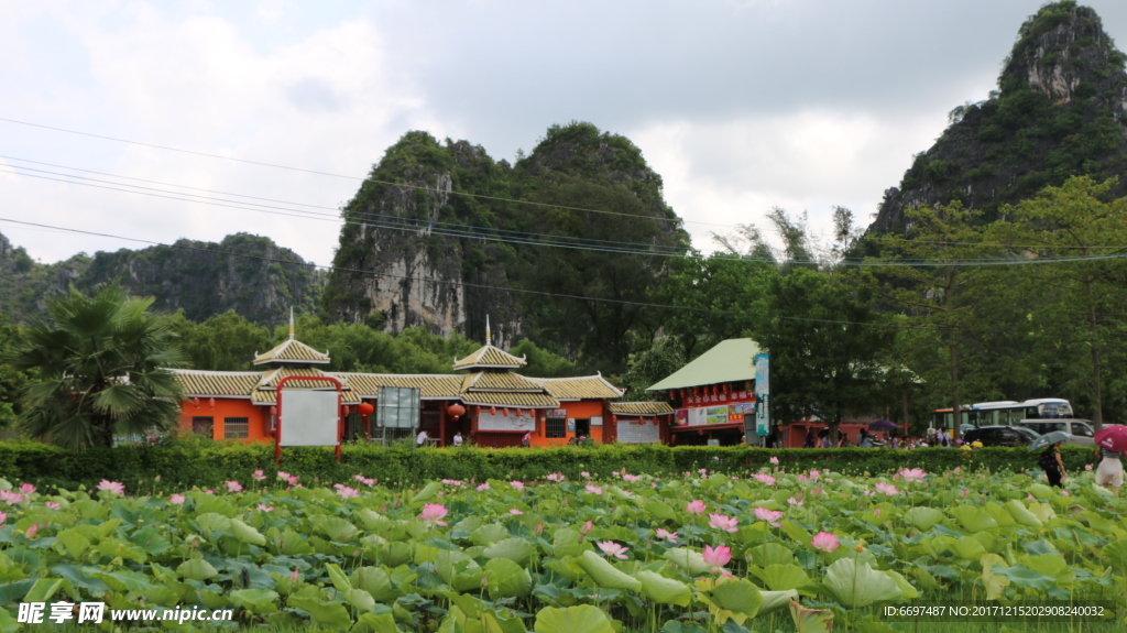 陆川县龙珠湖荷塘景