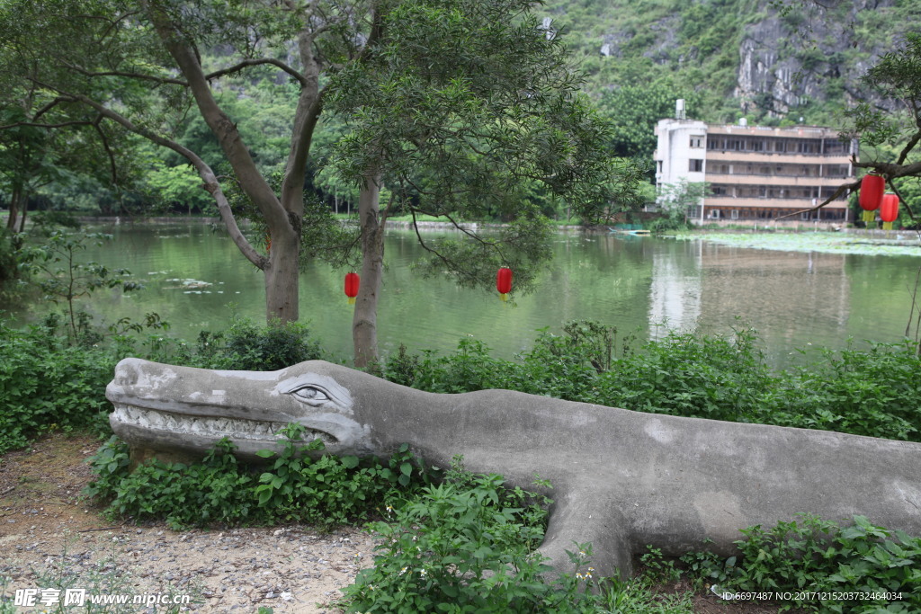 陆川龙珠湖鳄鱼景角