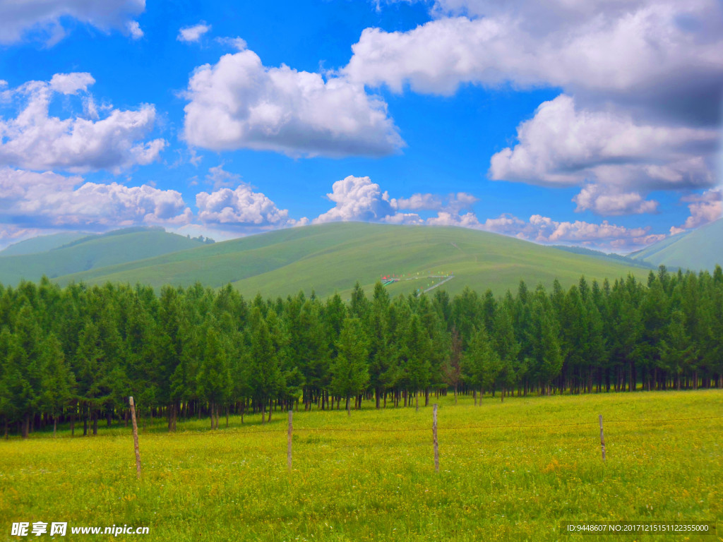 草原风景