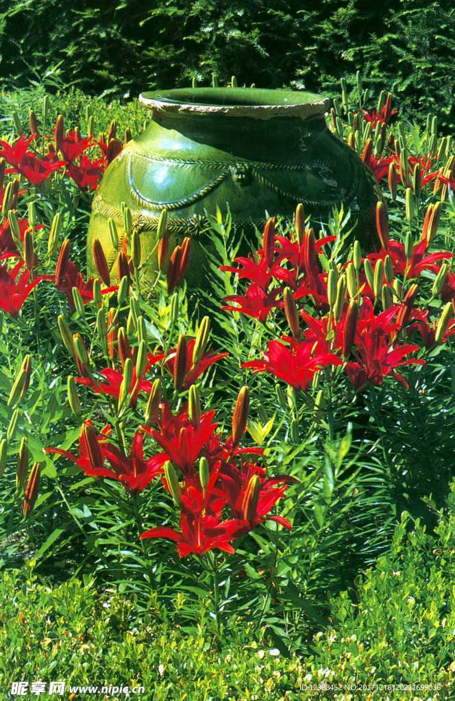 鲜花
