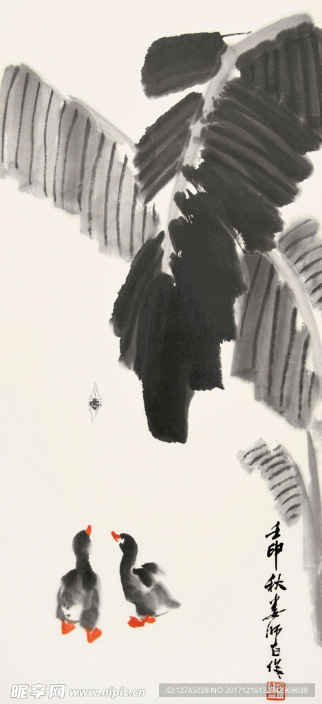 鸭子