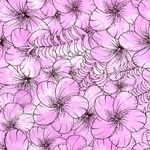 花纹