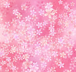 花纹