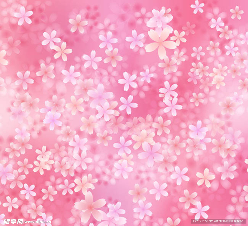 花纹