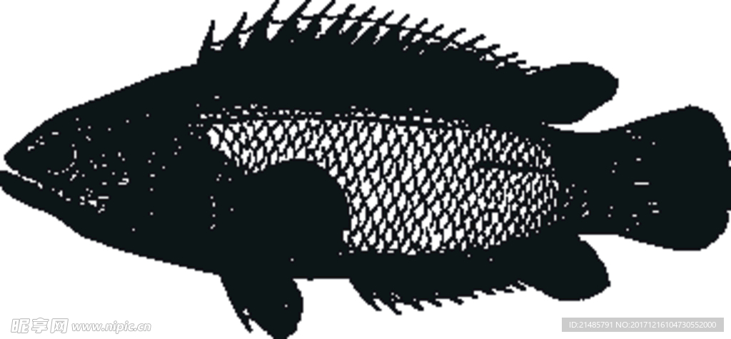 手绘海洋生物