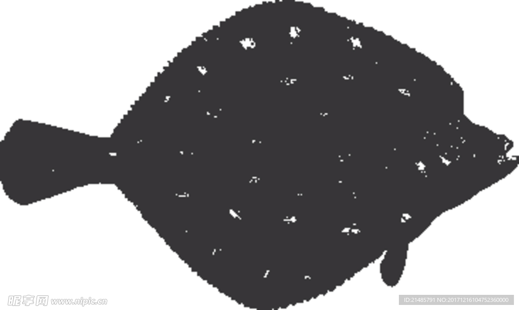 手绘海洋生物