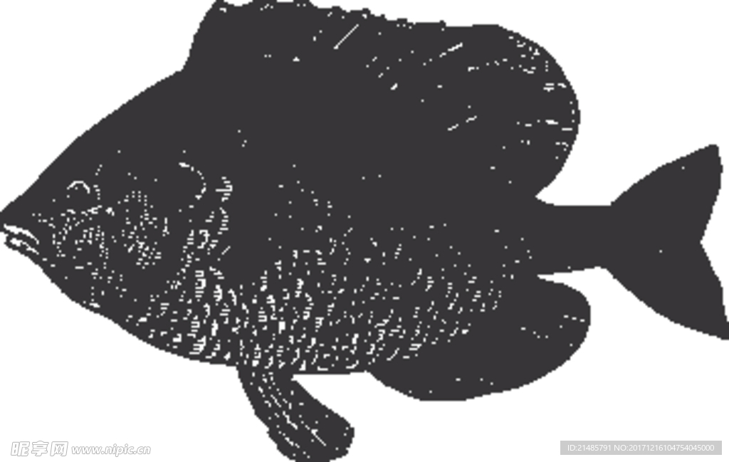 手绘海洋生物