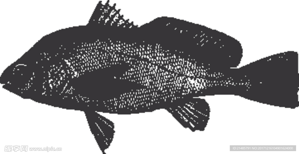 手绘海洋生物