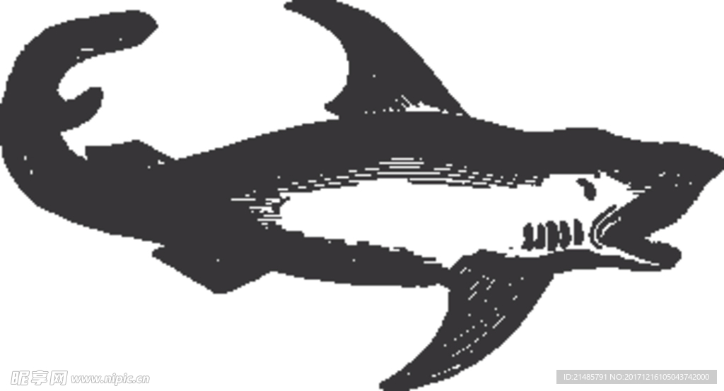 手绘海洋生物