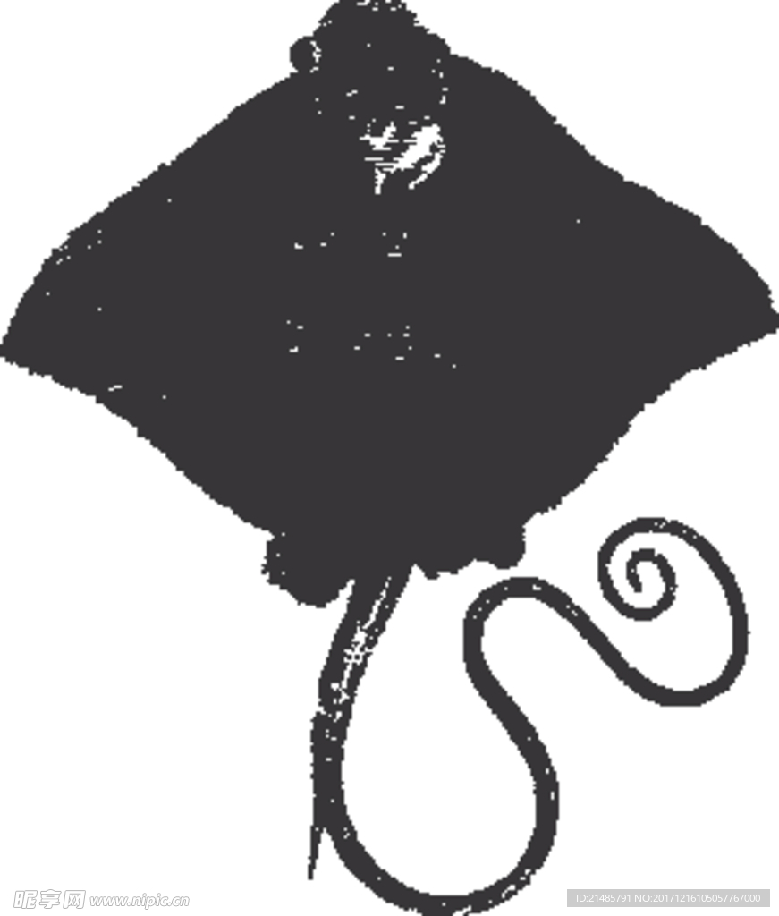 手绘海洋生物