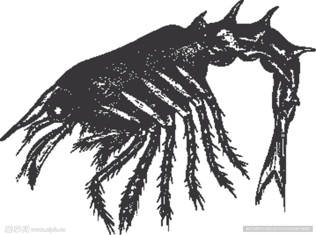 手绘海洋生物