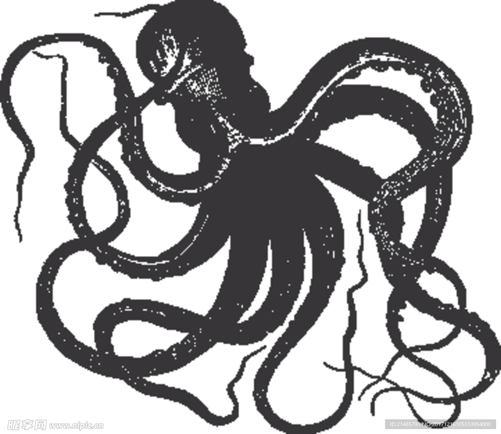手绘海洋生物