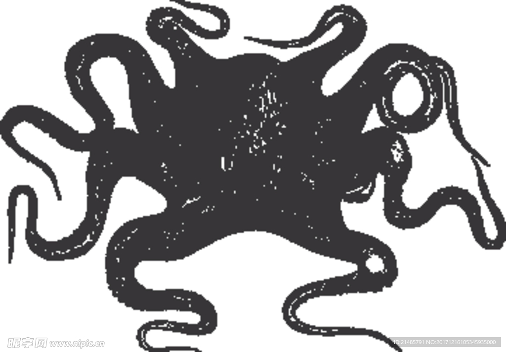 手绘海洋生物