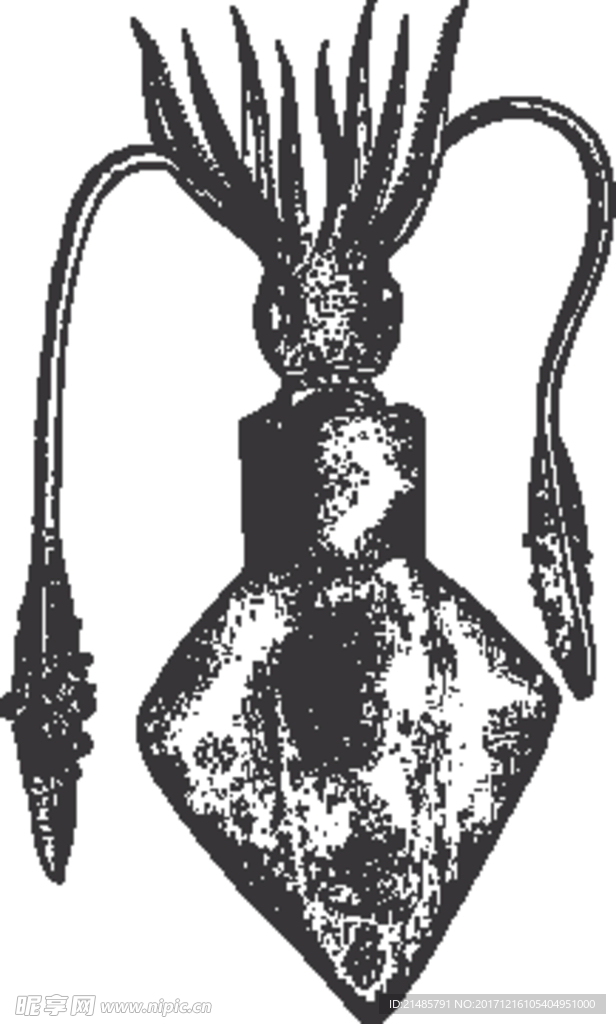 手绘海洋生物
