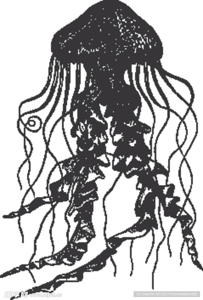 手绘海洋生物