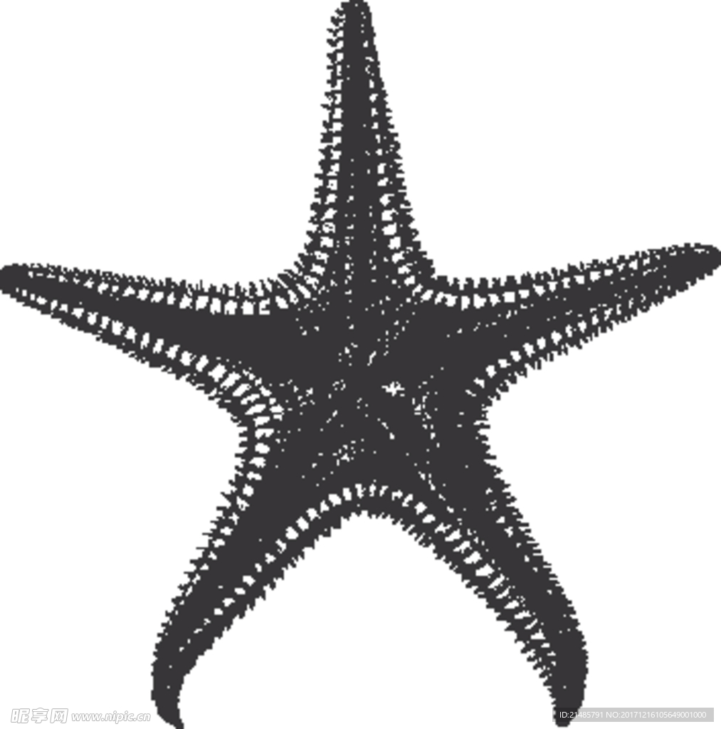 手绘海洋生物