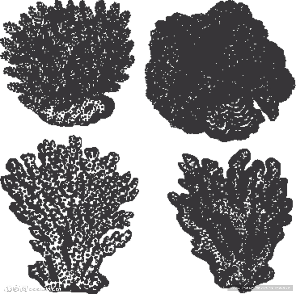 手绘海洋生物