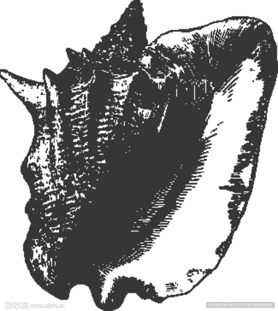 手绘海洋生物