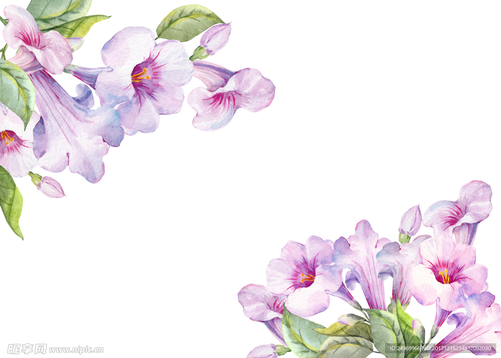 水彩花卉