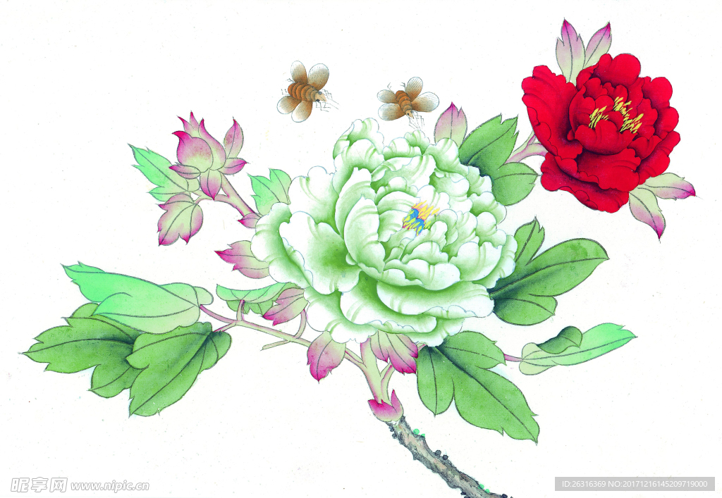 中式花鸟工笔画