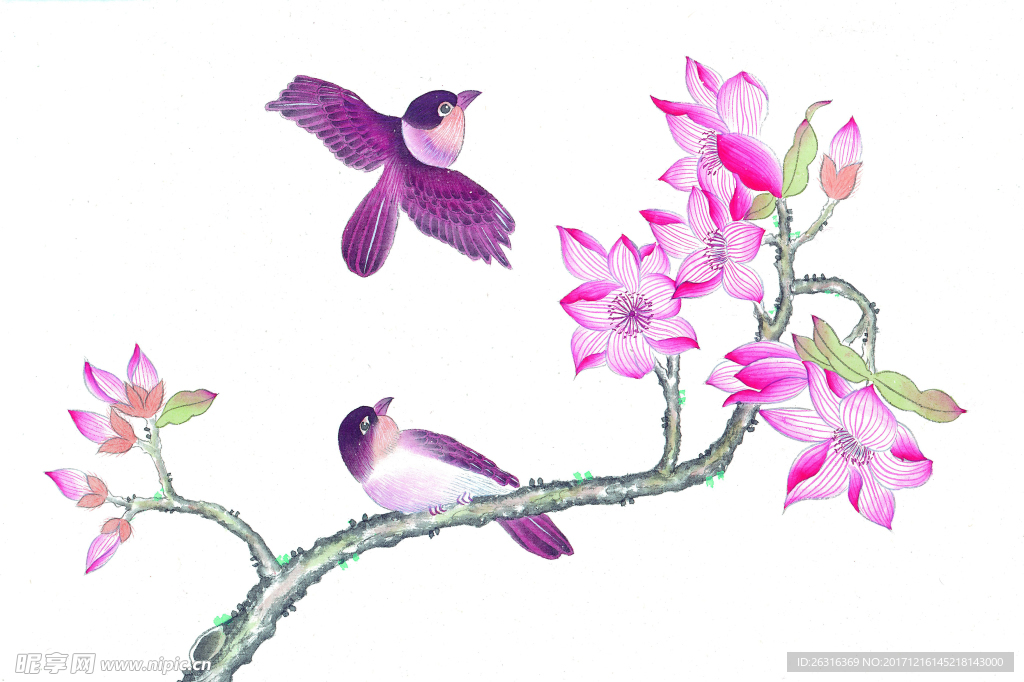 中式花鸟工笔画