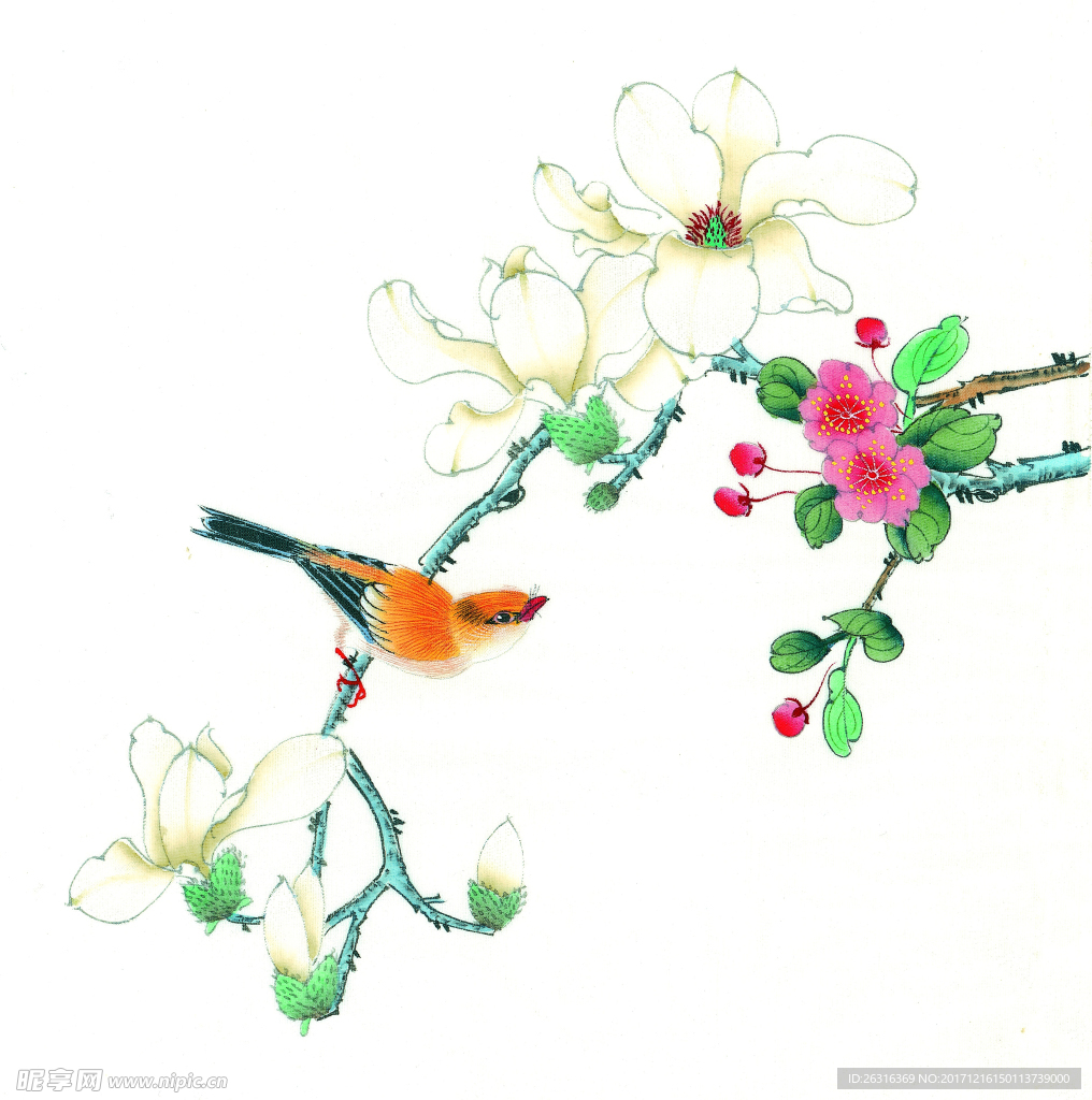 中式花鸟工笔画