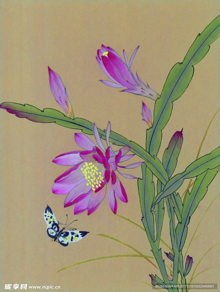 中式花鸟工笔画