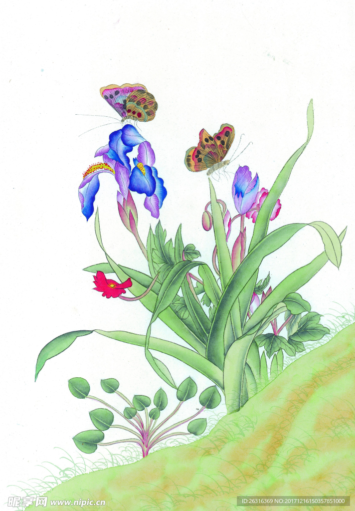 中式花鸟工笔画