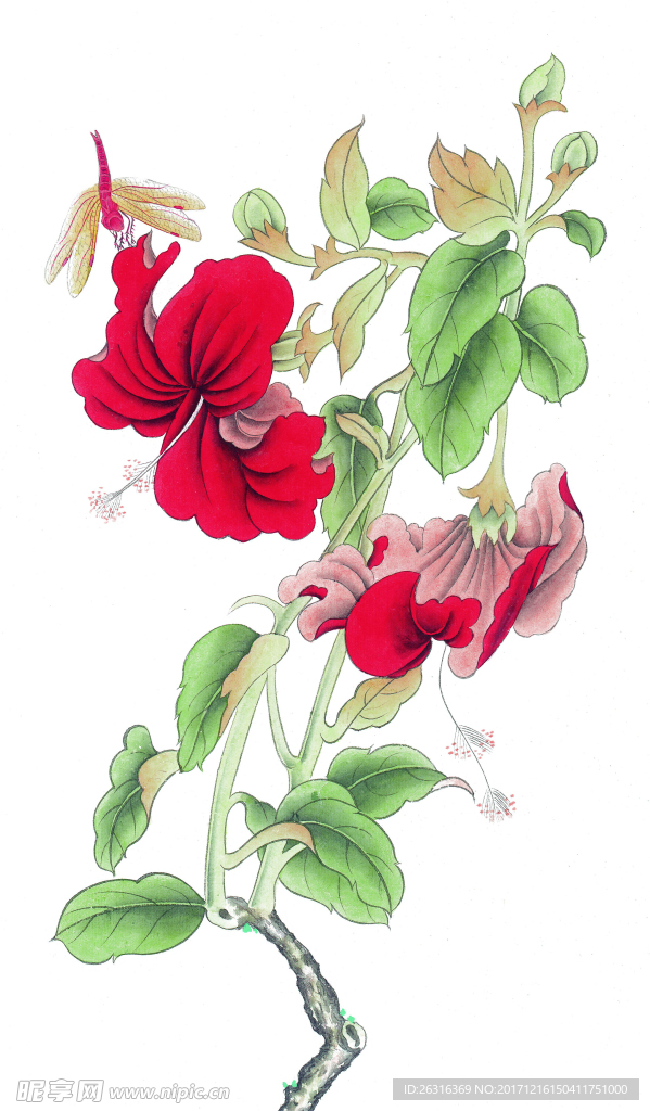 中式花鸟工笔画