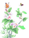 中式花鸟工笔画