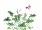 中式花鸟工笔画