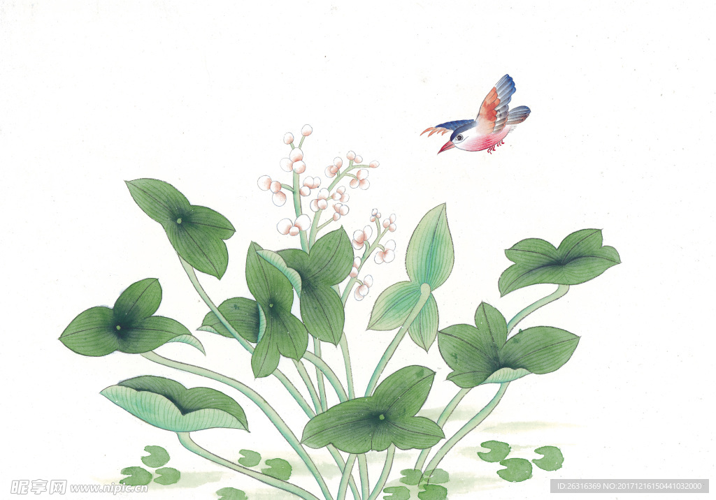 中式花鸟工笔画